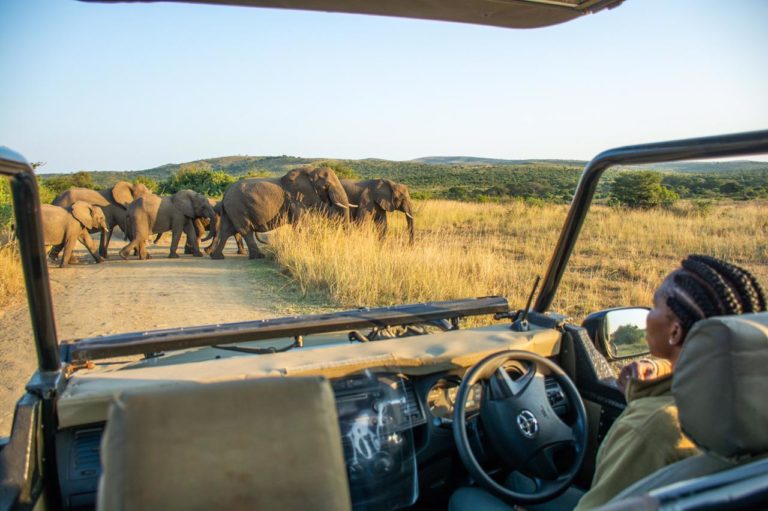 Pluck be a lady: Birding KZN with a flock of female expert guides