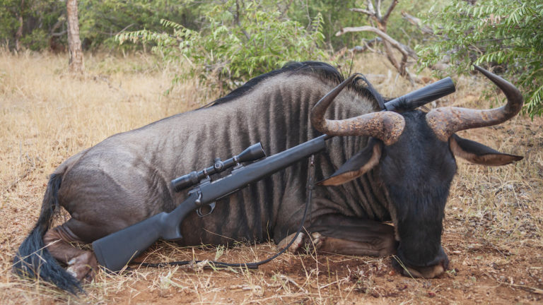 interdire la chasse aux trophées