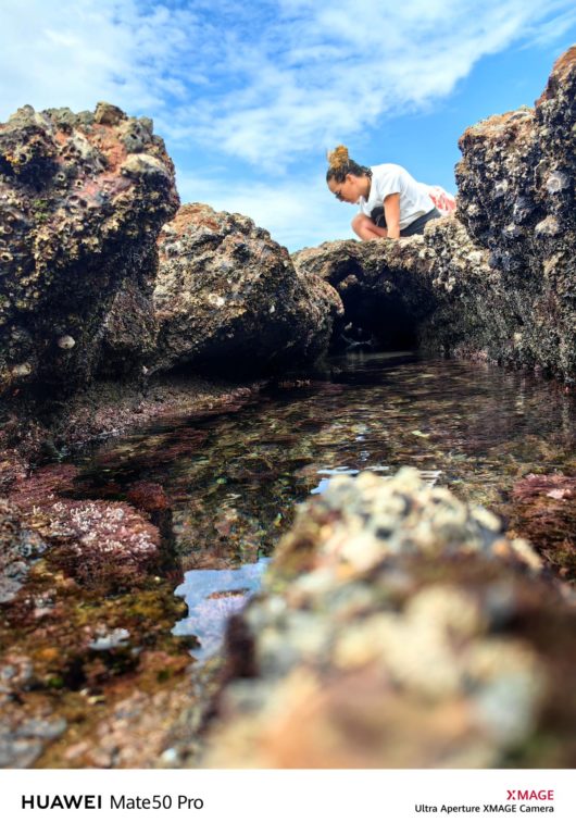 A Wild Coast adventure for everyone