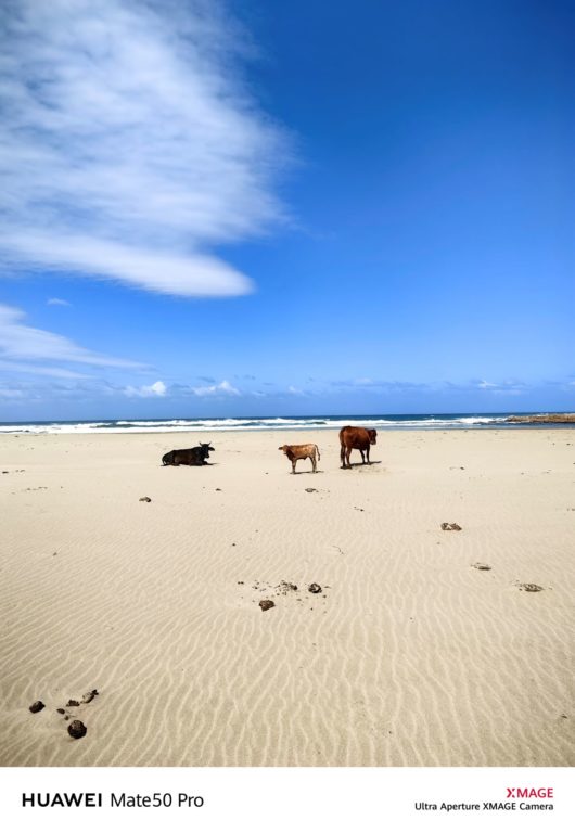 A Wild Coast adventure for everyone