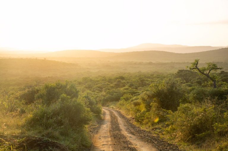 Pluck be a lady: Birding KZN with a flock of female expert guides