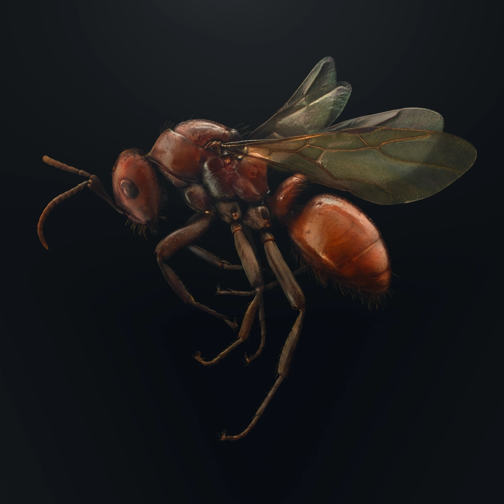 Rarest Insectz Extinct & Endangered: world's rarest insects captured in microscopic detail