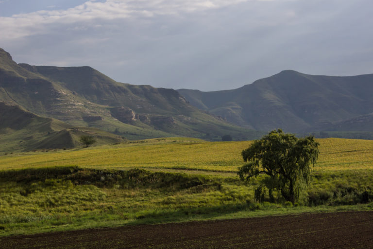 Family Friendly Towns in South Africa - Drakensberg