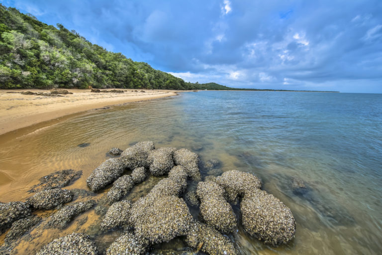 walking mozambique