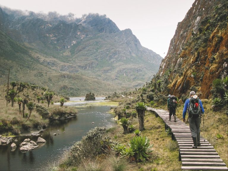 Rwenzori mountains