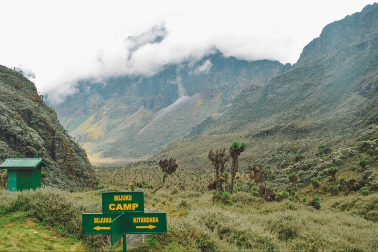 Rwenzori mountains