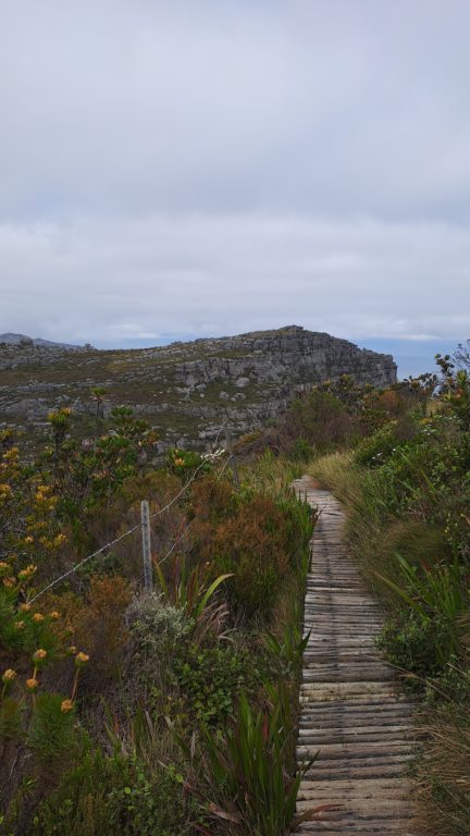 Hiking Table Mountain