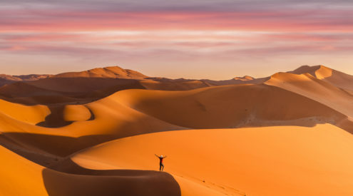 kgalagadi transfrontier park tours