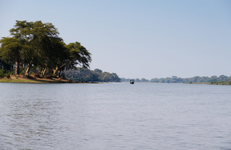 hippo riverboat Malawi