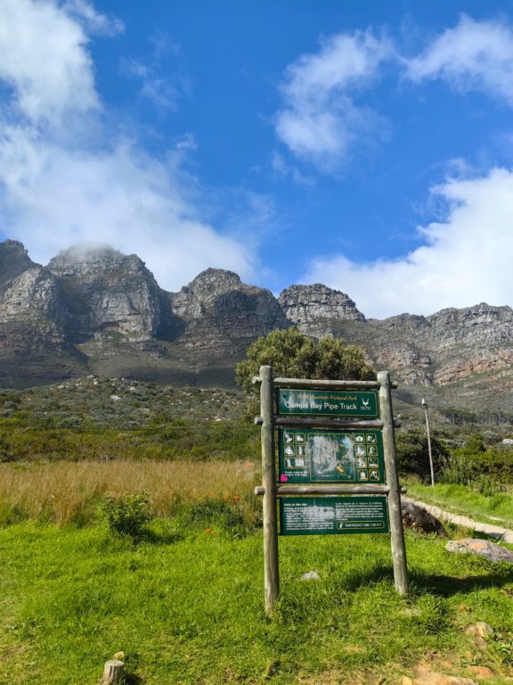 Hiking Table Mountain