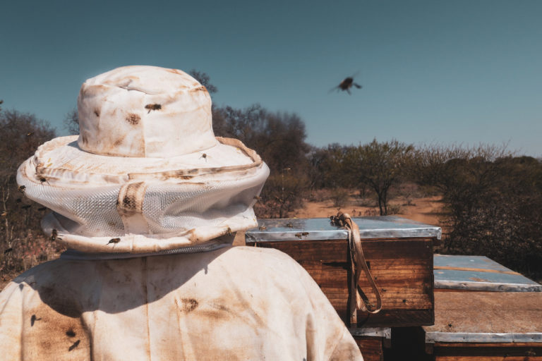 Beekeeping in KwaZulu Natal