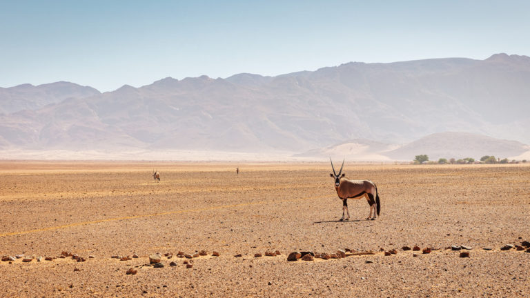 trekking in Namibia