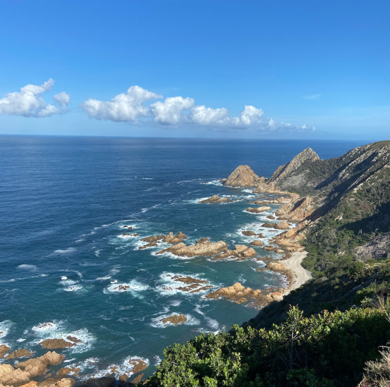 things to do in Knysna