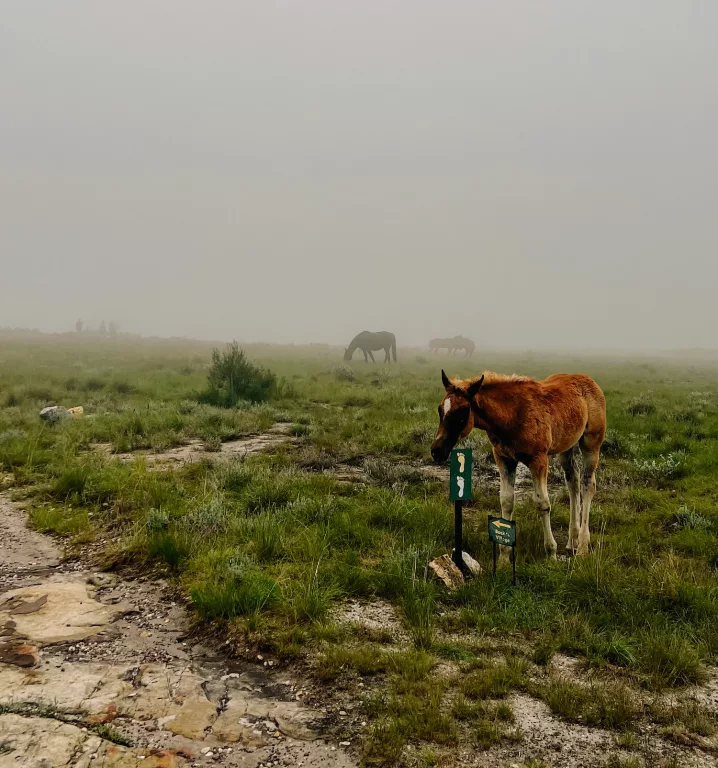 Exploring Kaapschehoop