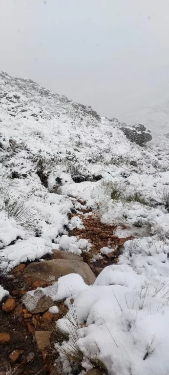 Matroosberg snow