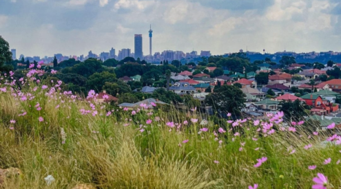 Hill side view of the city of Johannesburg