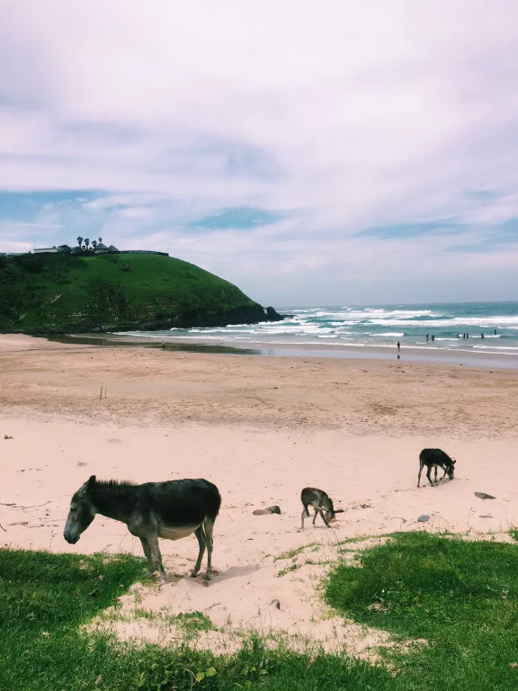 Bulungula Beach, Eastern Cape