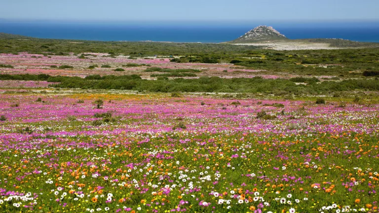 West Coast National Park: Picturesque Places in South Africa