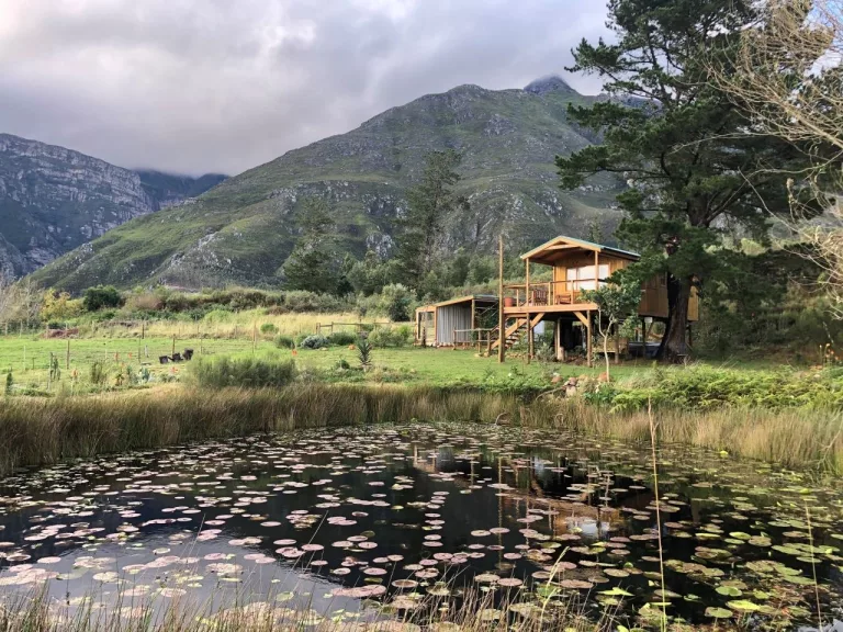 Ecotreehouse - Treehouses in south africa