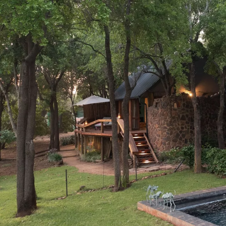 Treehouses in south africa Jaci's Lodges