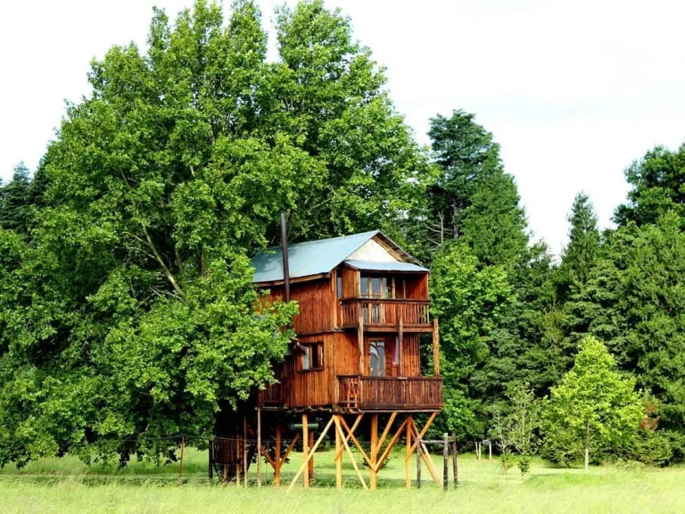 Treehouses in south africa - Sycamore Avenue Treehouses