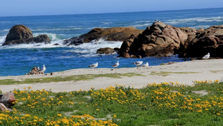 Tietiesbaai Beach