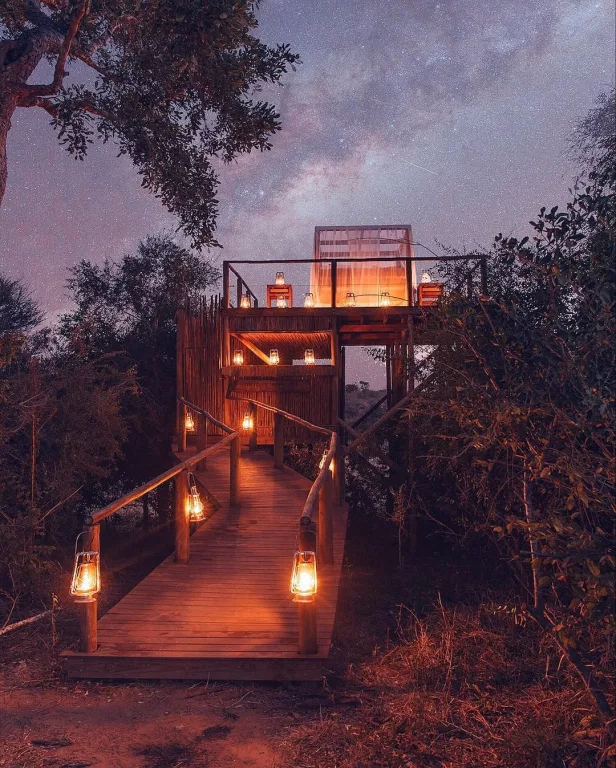 Tinyeleti Treehouse - Treehouses in south africa