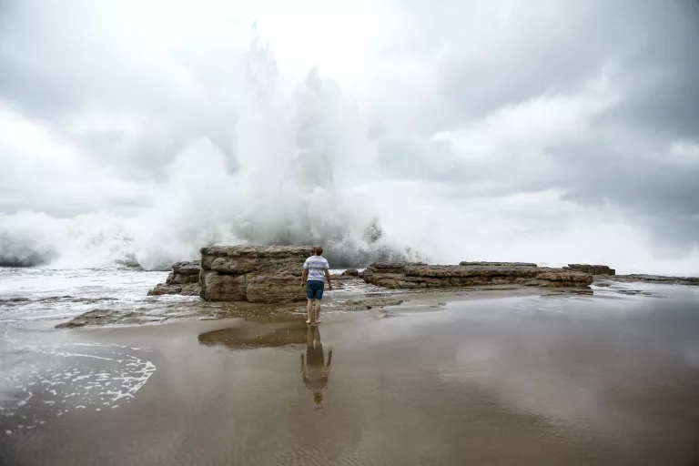 wild coast