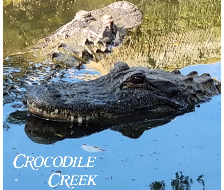 Crocodile Creek - Hidden Gems in Ballito