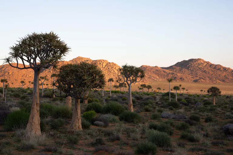 main tourist attraction in northern africa