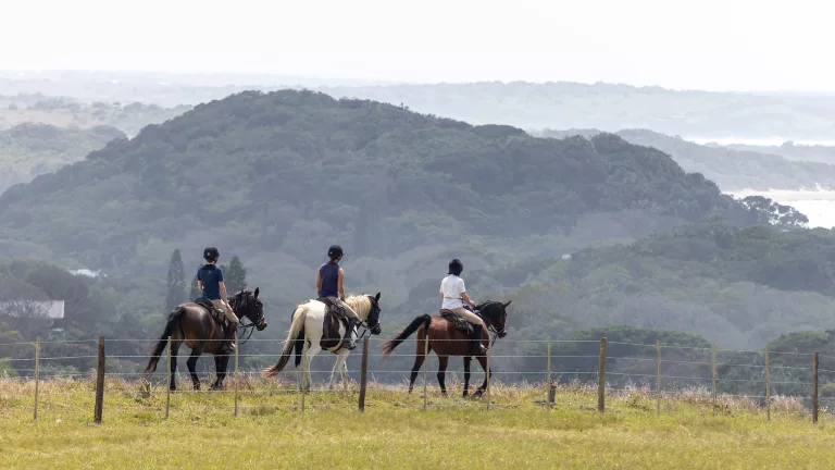 Wild Coast Horse Riding Adventures