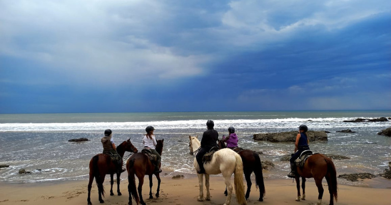 Wild Coast Horse Riding Adventures - things to do in Coffee Bay