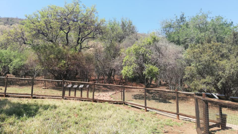 Wonderboom Nature Reserve - hidden gems in Pretoria