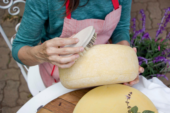 Grootplaas Cheese Academy - places to visit in hartbeespoort