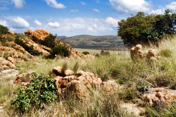 Kgaswane Mountain Reserve