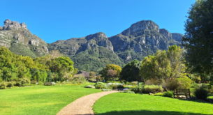 Kirstenbosch National Botanical Garden