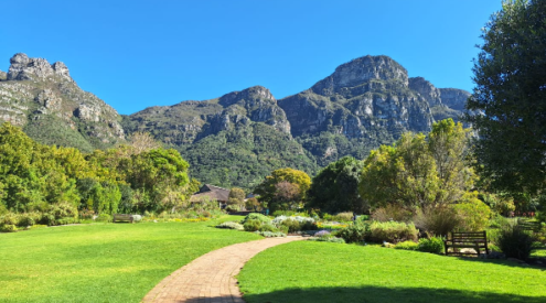 Kirstenbosch National Botanical Garden