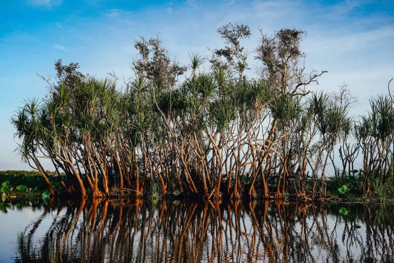 Kakadu National Park, Australia