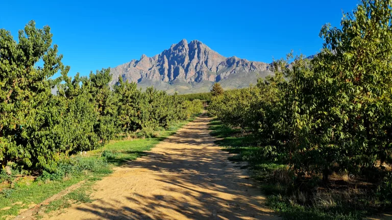 Places to visit in Tulbagh - Murludi Hiking Trail and Dried Fruit