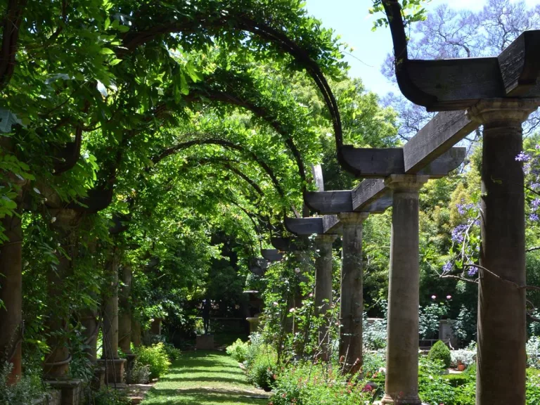Places to Visit in Sandton - The Beechwood Gardens