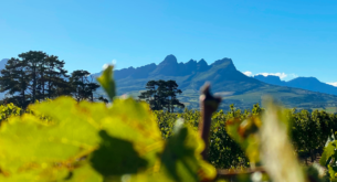 Places to Visit in Somerset West