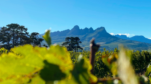Places to Visit in Somerset West
