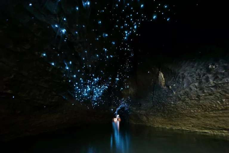 Waitomo Glowworm Caves, New Zealand - most beautiful places in the world