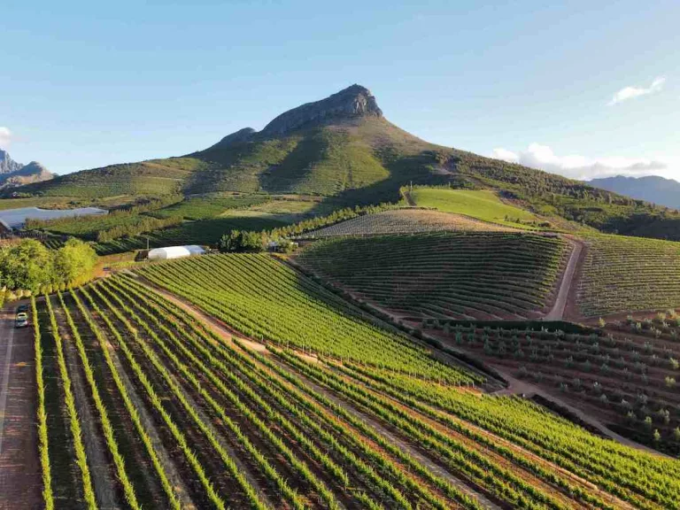 Cape Winelands - Picturesque Towns in South Africa Every Photographer Must Visit 