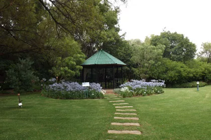 Embracing Nature In The Free State Province