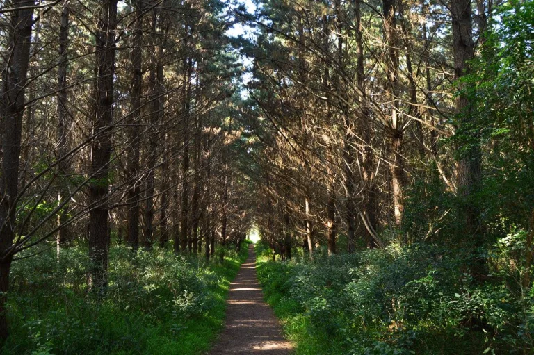 Places to visit - Outeniqua Nature Reserve