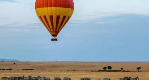 Serengeti Migration Safari