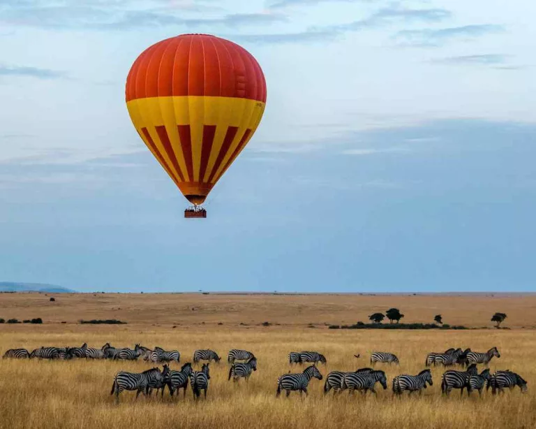 Serengeti Migration Safari