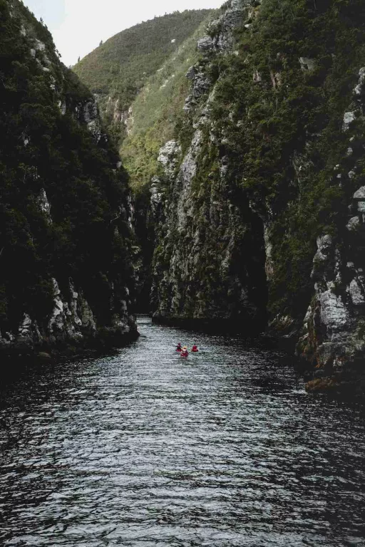 Tsitsikamma National Park