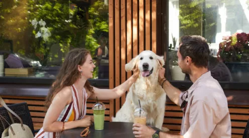 Pet-friendly restaurants